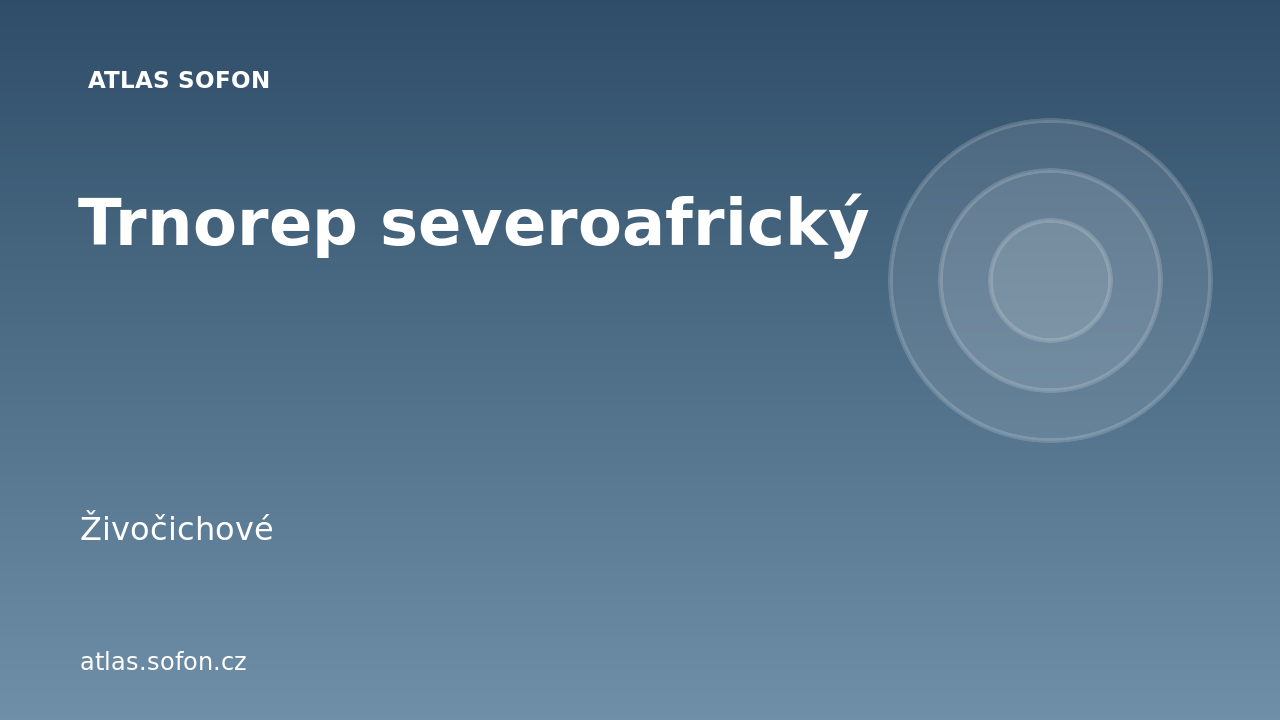 Trnorep severoafrický