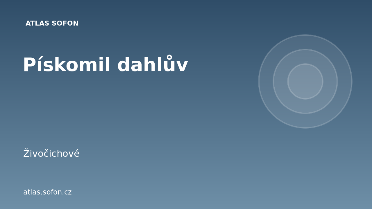 Pískomil dahlův