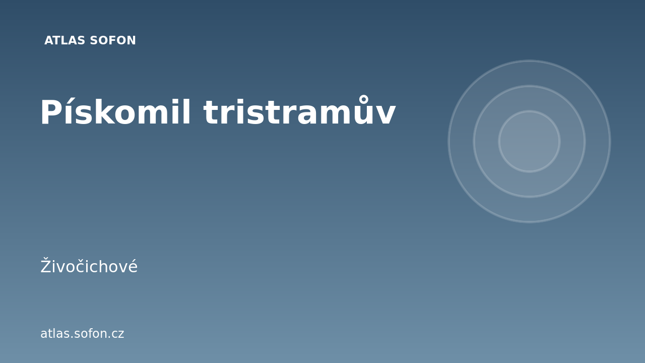 Pískomil tristramův