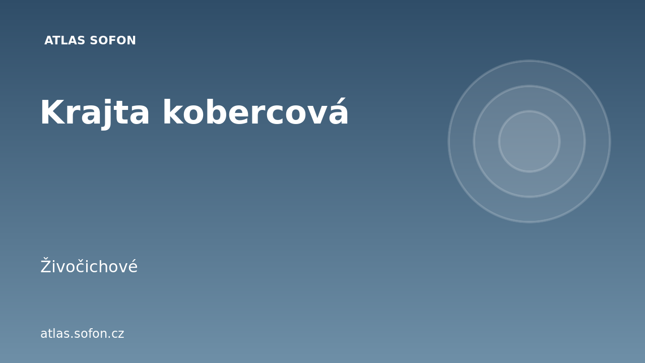 Krajta kobercová