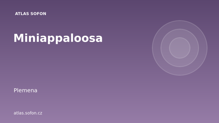 Miniappaloosa