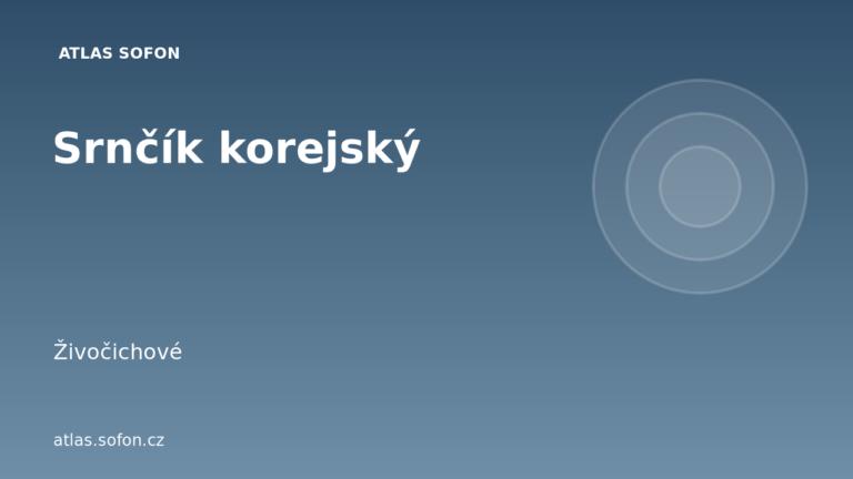Srnčík korejský Srnčík korejský