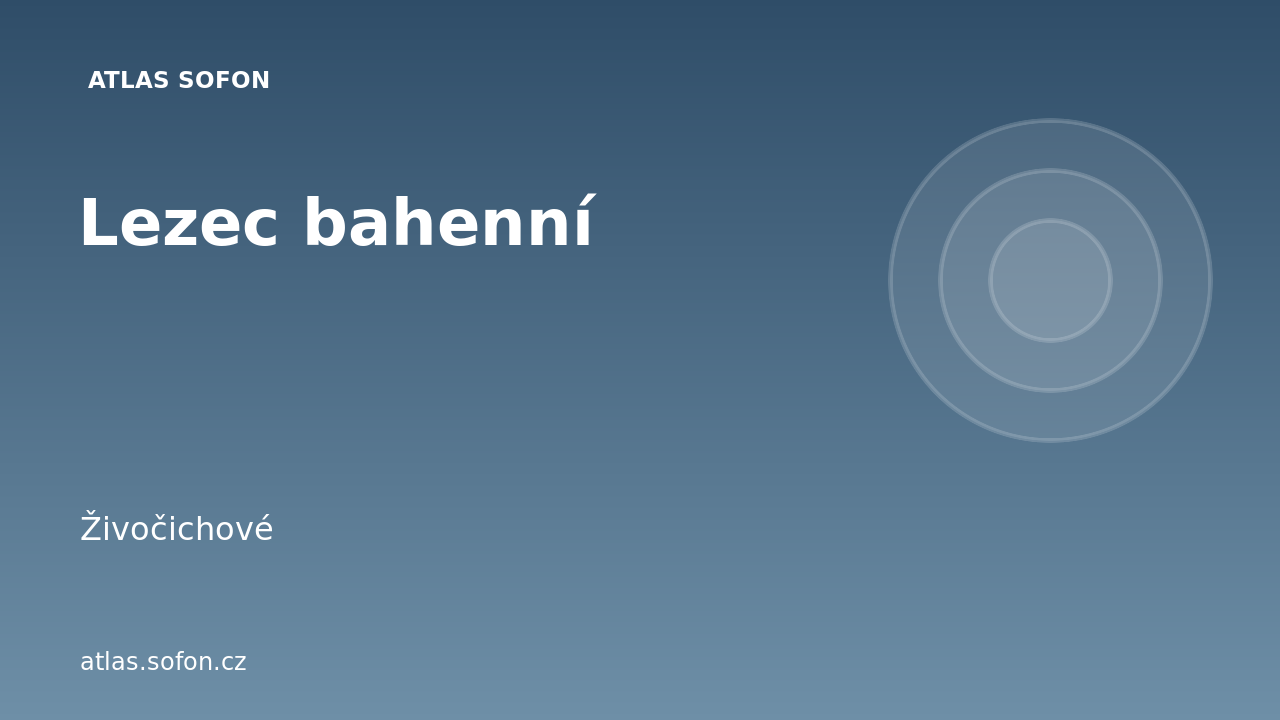 Lezec bahenní