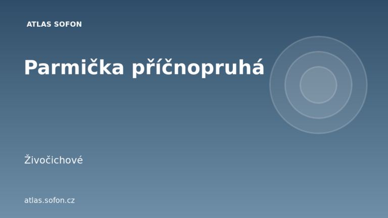 Parmička příčnopruhá