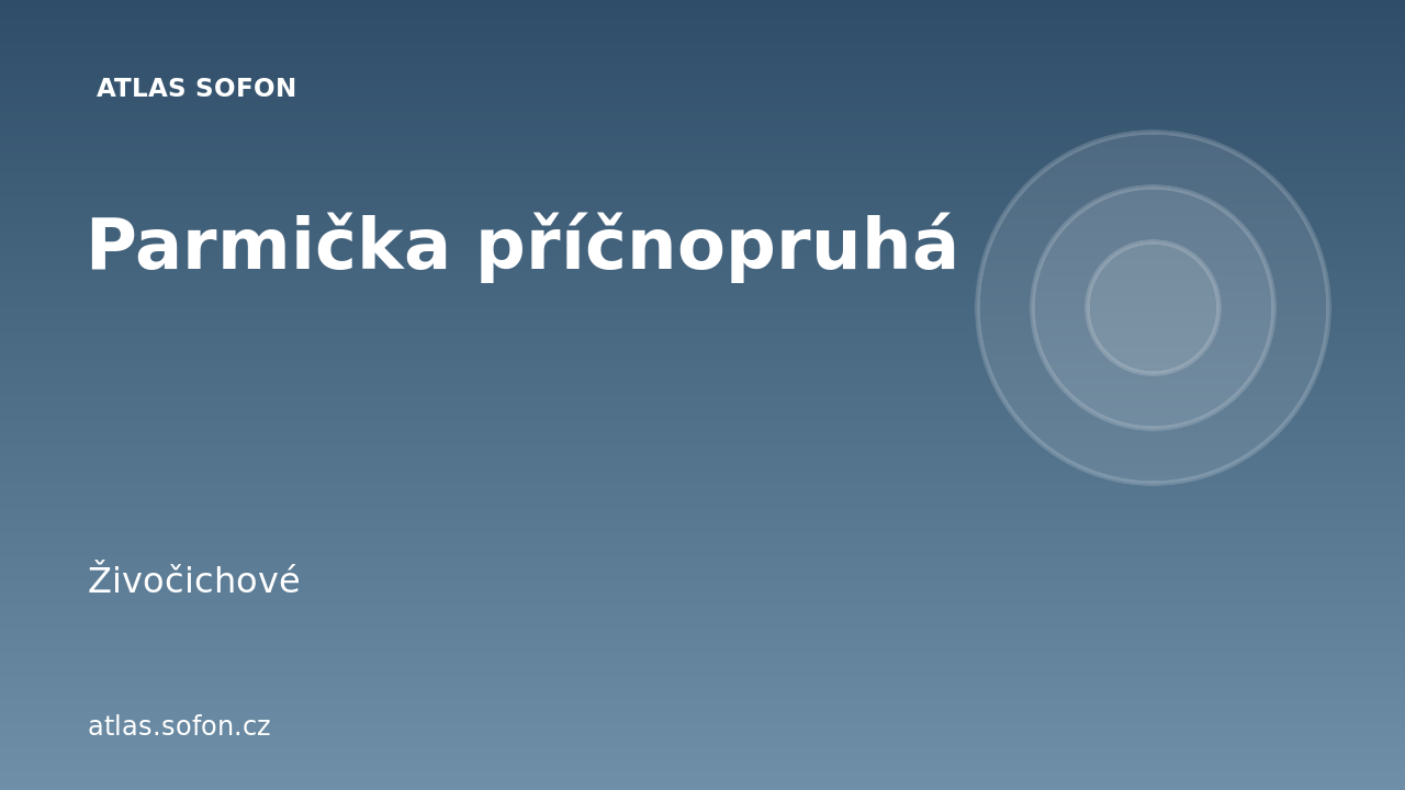Parmička příčnopruhá