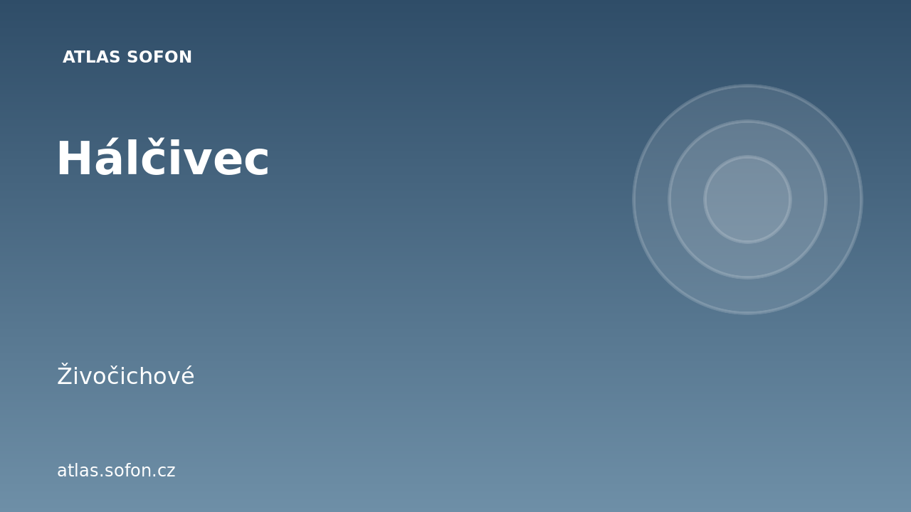 Hálčivec