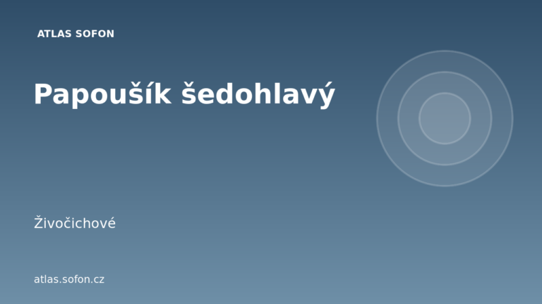 Papoušík šedohlavý Papoušík šedohlavý