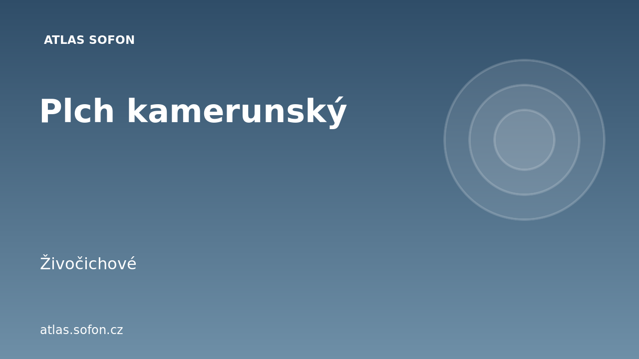 Plch kamerunský