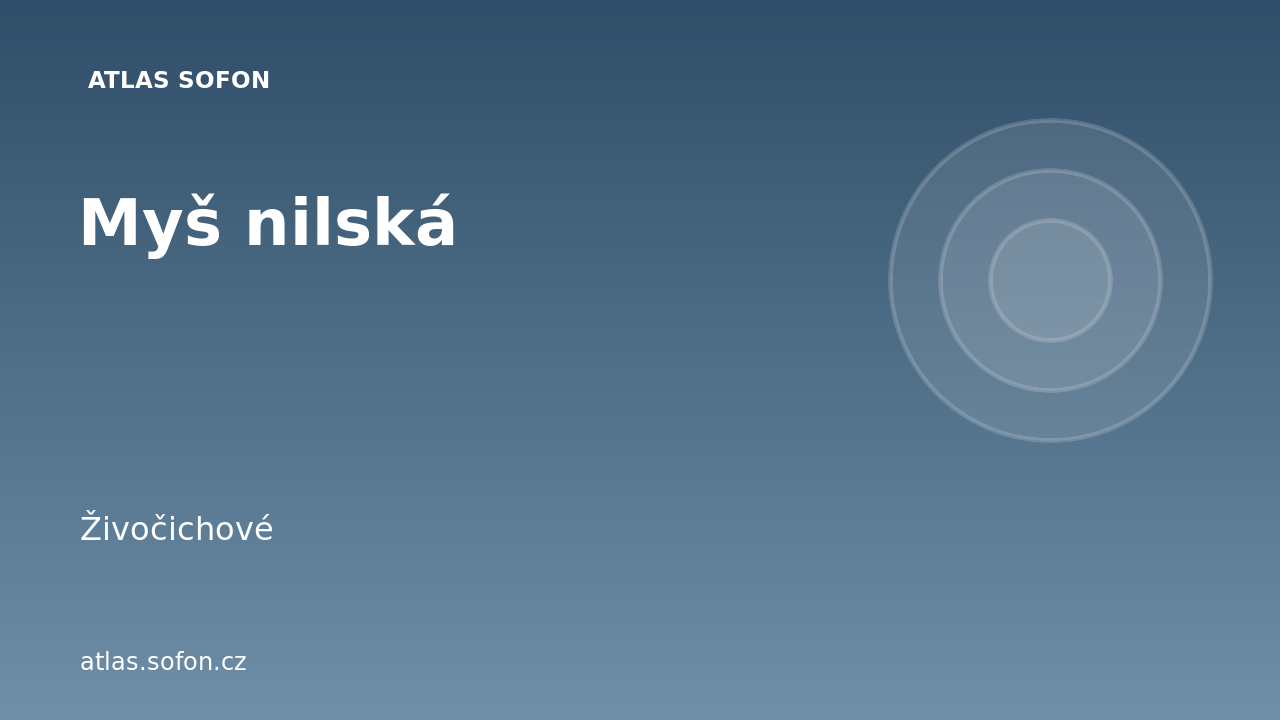 Myš nilská