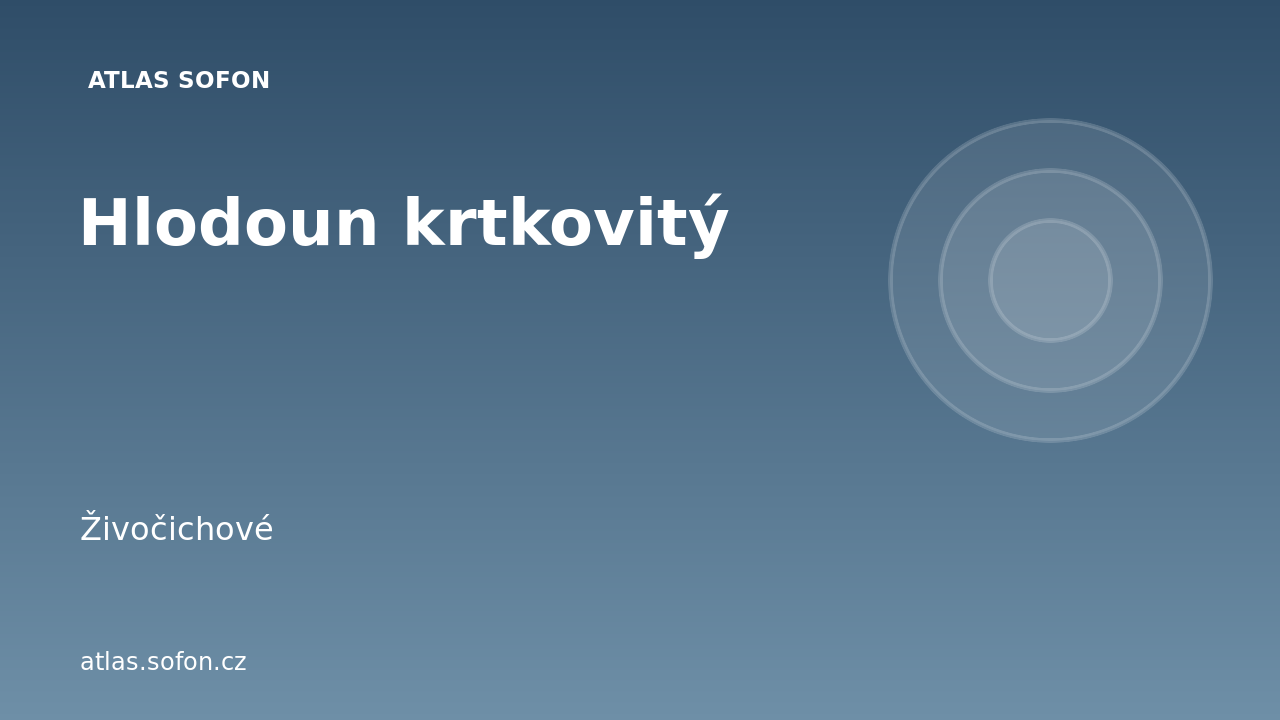 Hlodoun krtkovitý