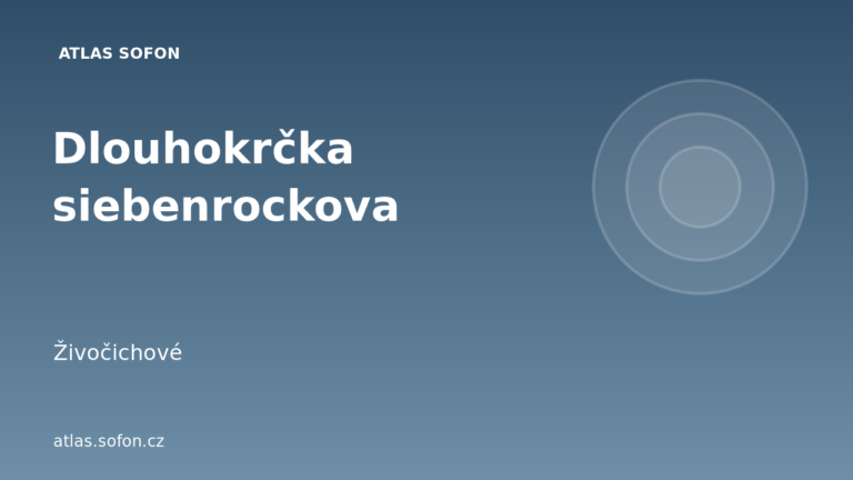 Dlouhokrčka siebenrockova