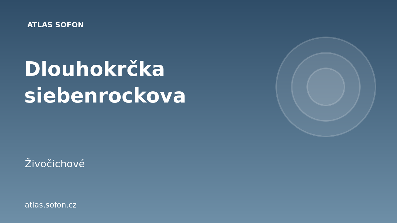 Dlouhokrčka siebenrockova