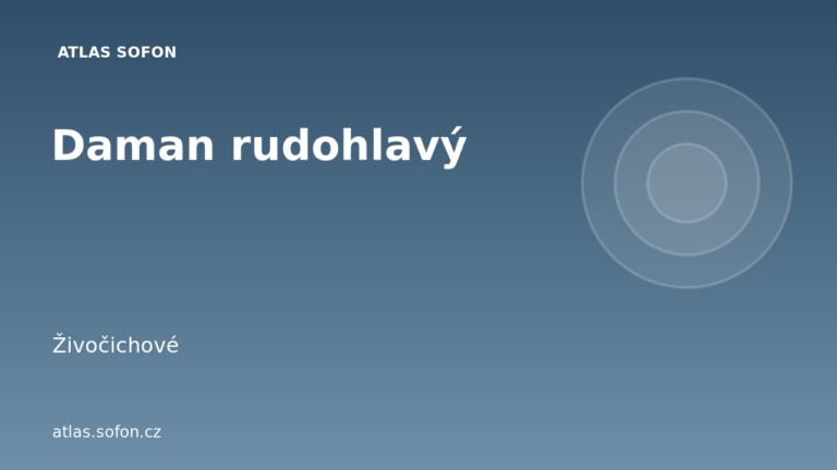 Daman rudohlavý