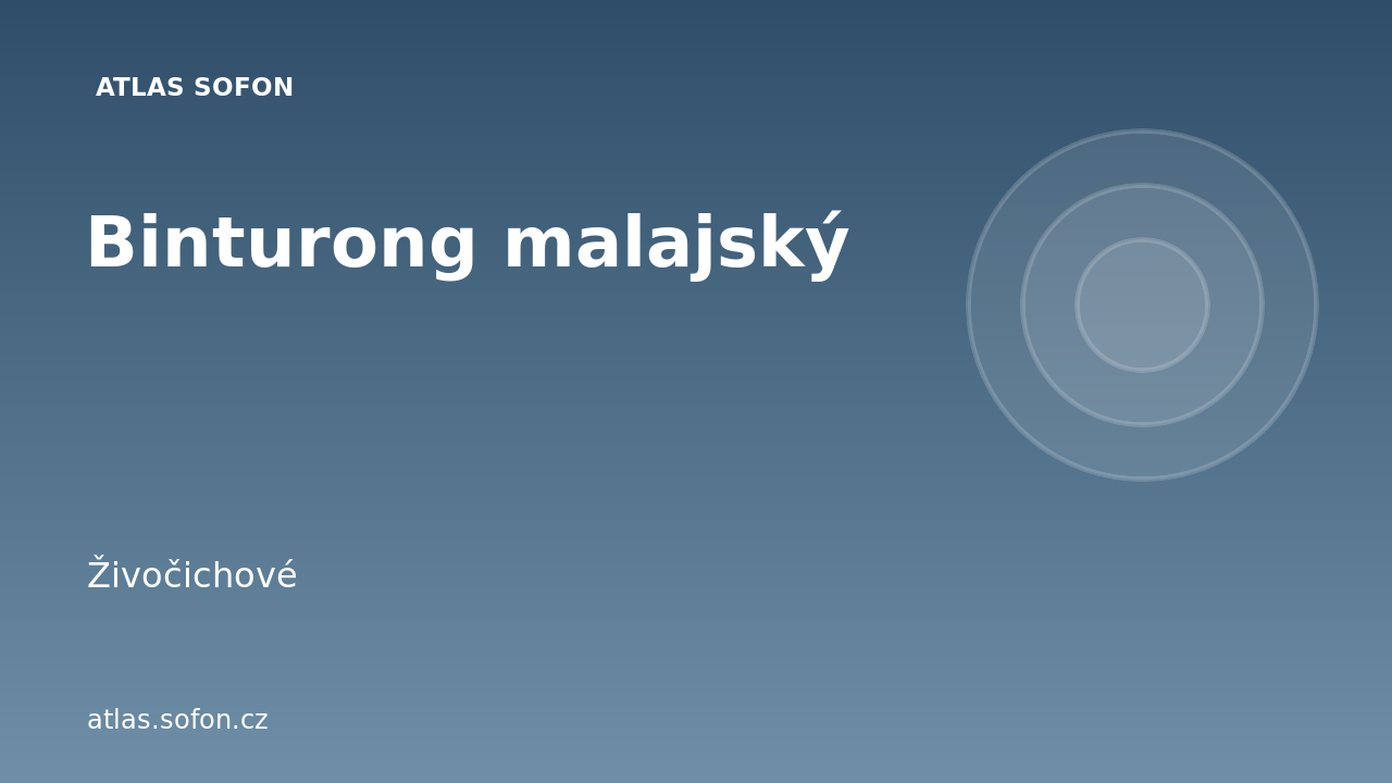 Binturong malajský