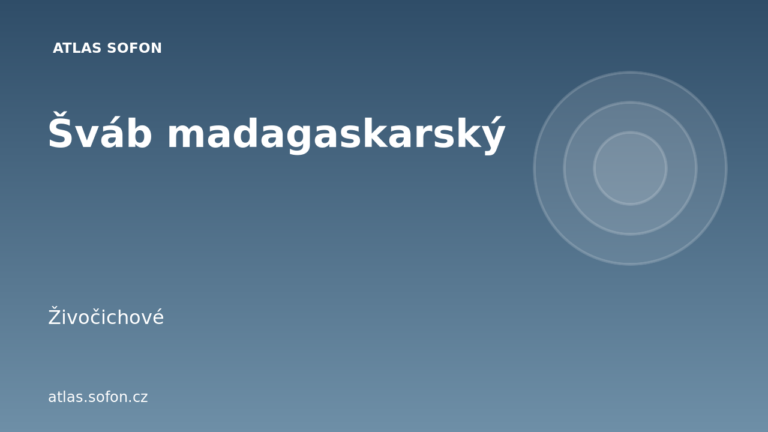 Šváb madagaskarský