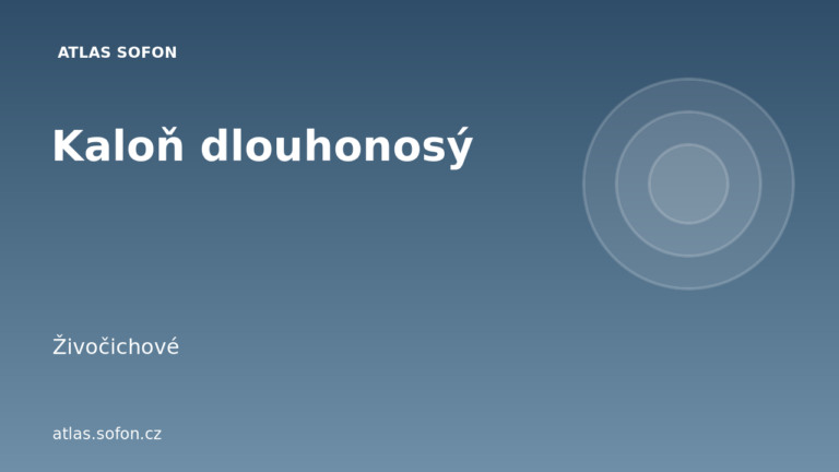 Kaloň dlouhonosý Kaloň dlouhonosý