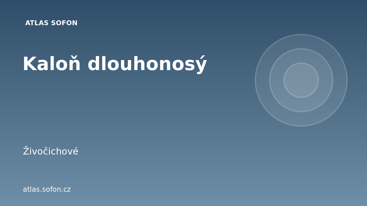 Kaloň dlouhonosý