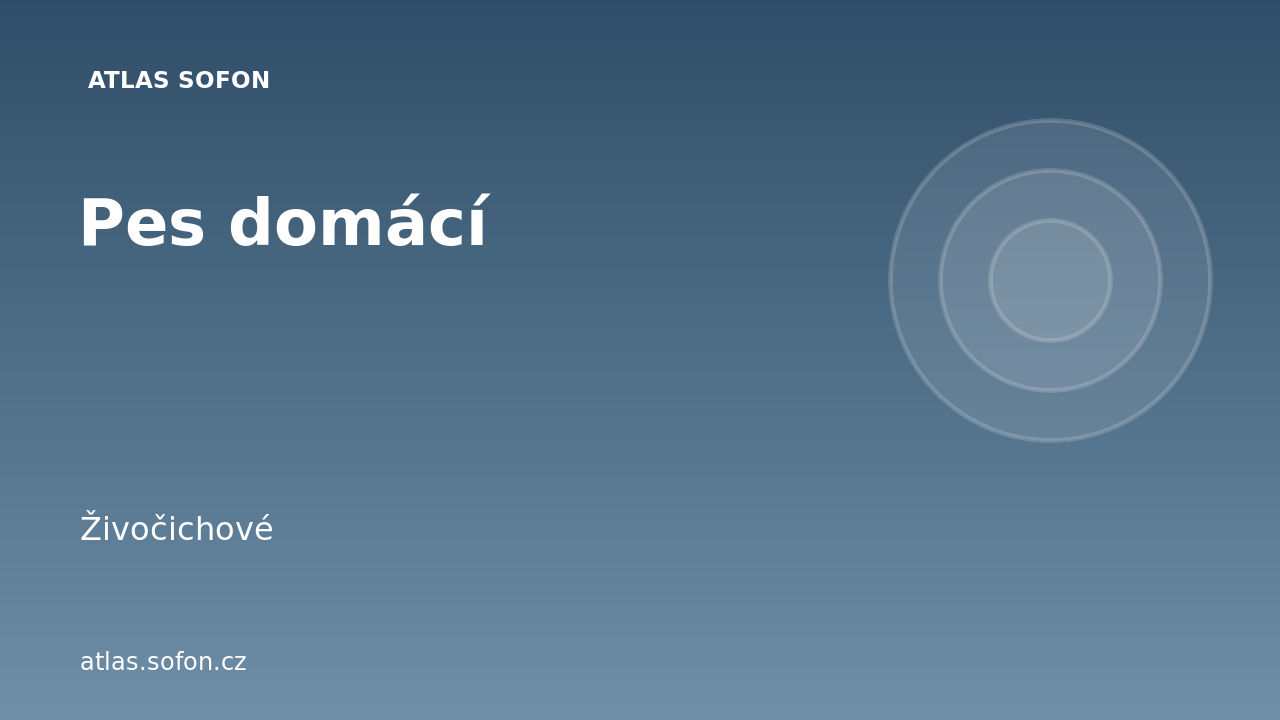 Pes domácí