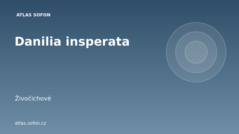 Danilia insperata
