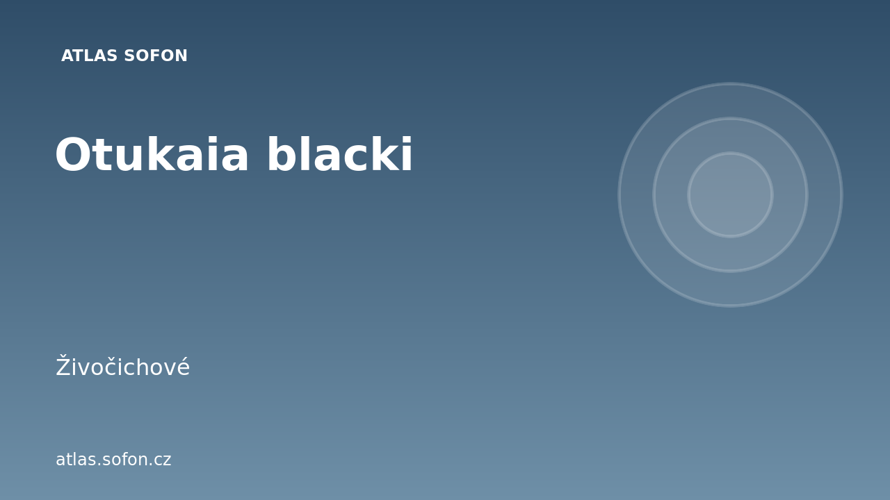 Otukaia blacki