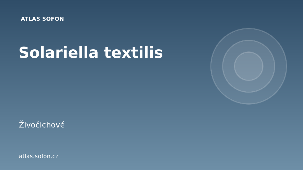 Solariella textilis