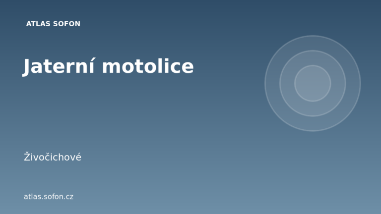 Jaterní motolice