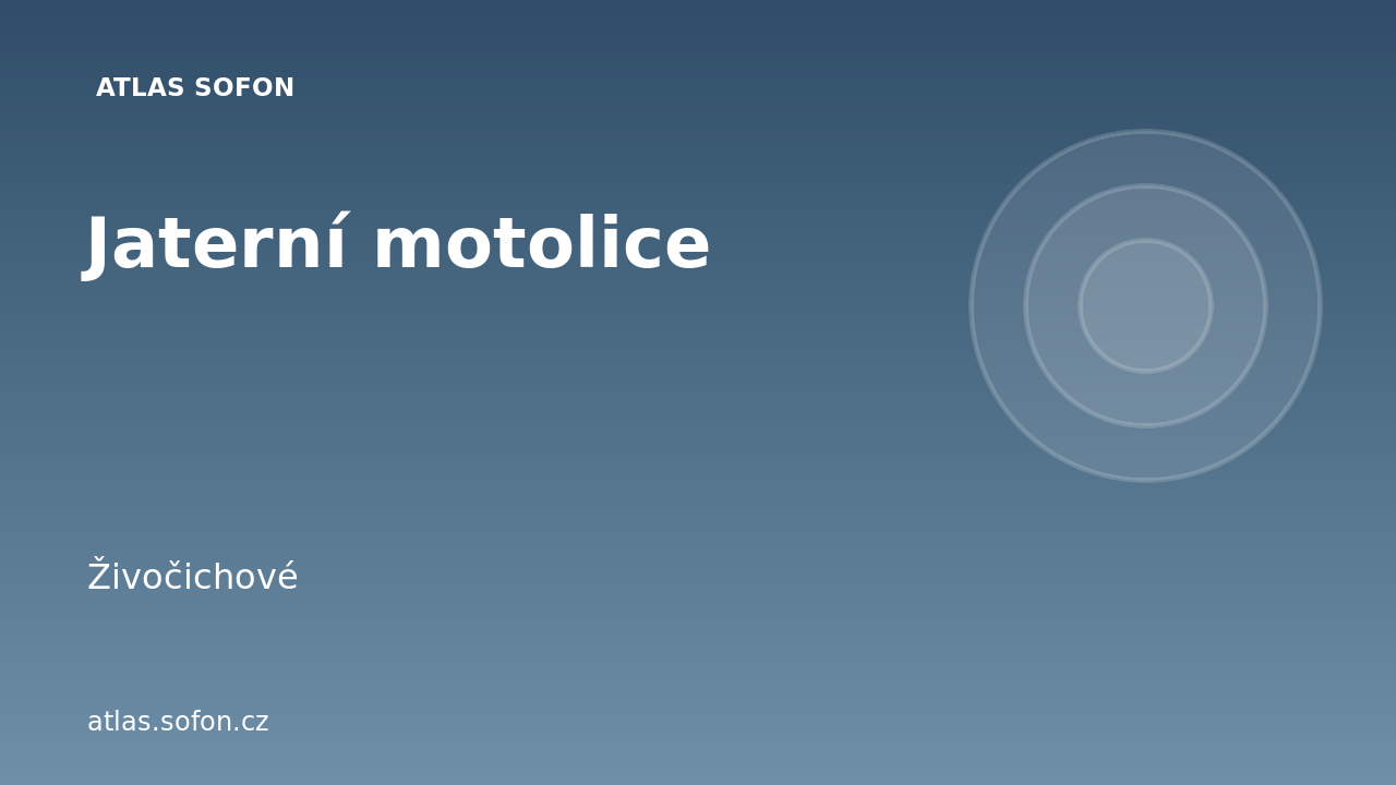Jaterní motolice