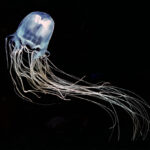 Čtyřhranka fleckerova tumblr_nemofy0XRN1tj0h4po1_1280