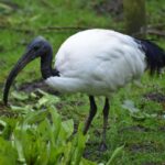 001334_thumbnail