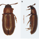 10-Figure3-1