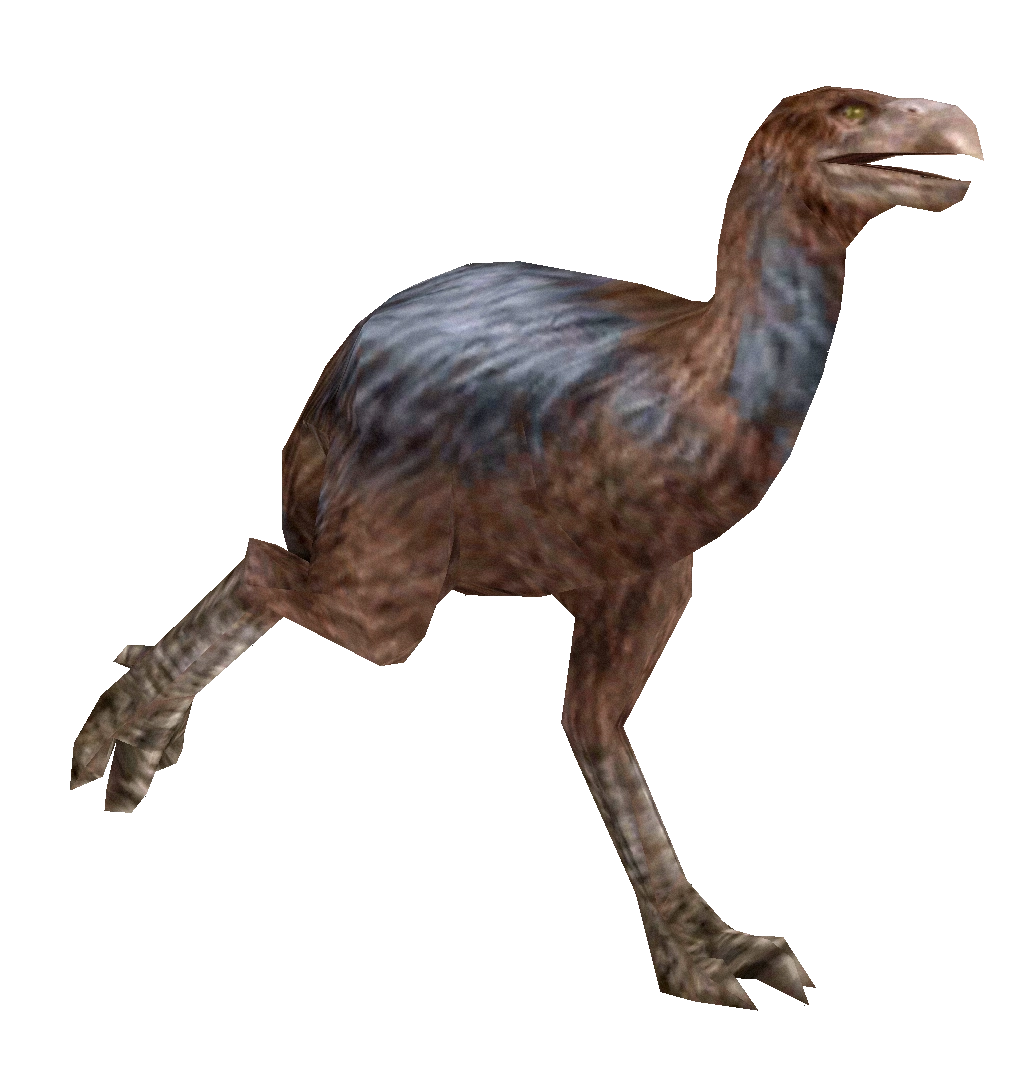 Diatryma