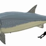 Leedsichthys_problematicus