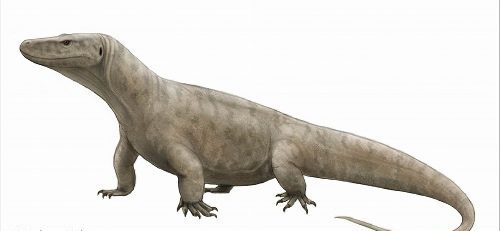 Varanus prisca