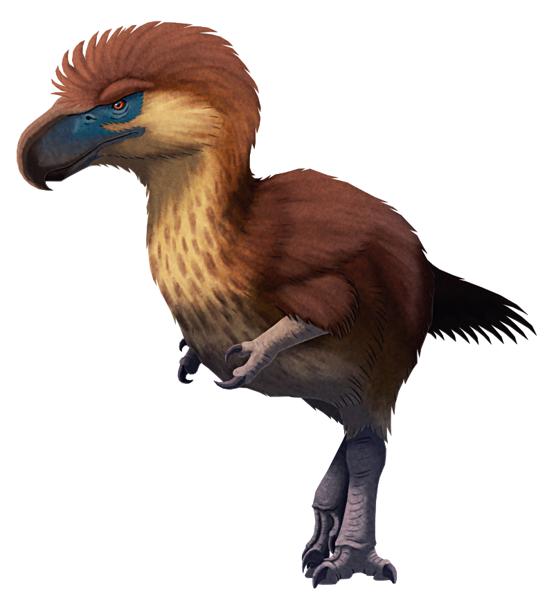 Phorusrhacidae