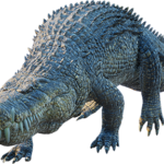 deinosuchus