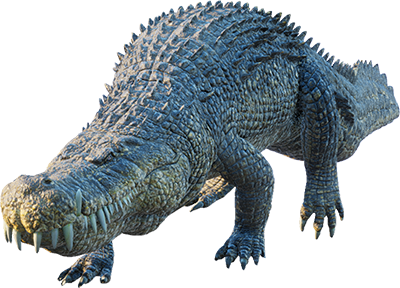 Deinosuchus