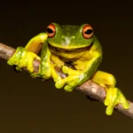 shutterstock_1592581291-scaled.jpg