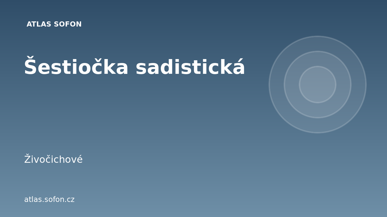 Šestiočka sadistická