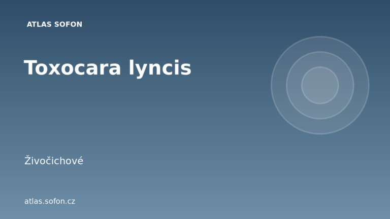 Toxocara lyncis