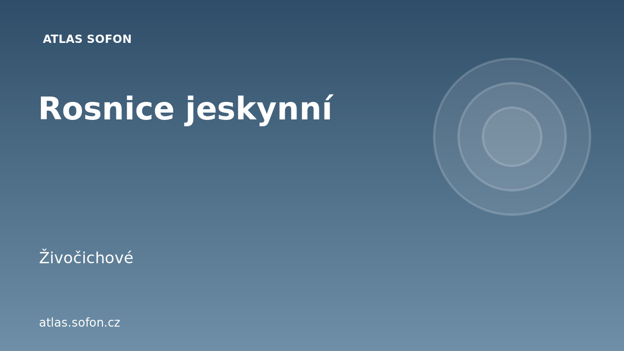 Rosnice jeskynní
