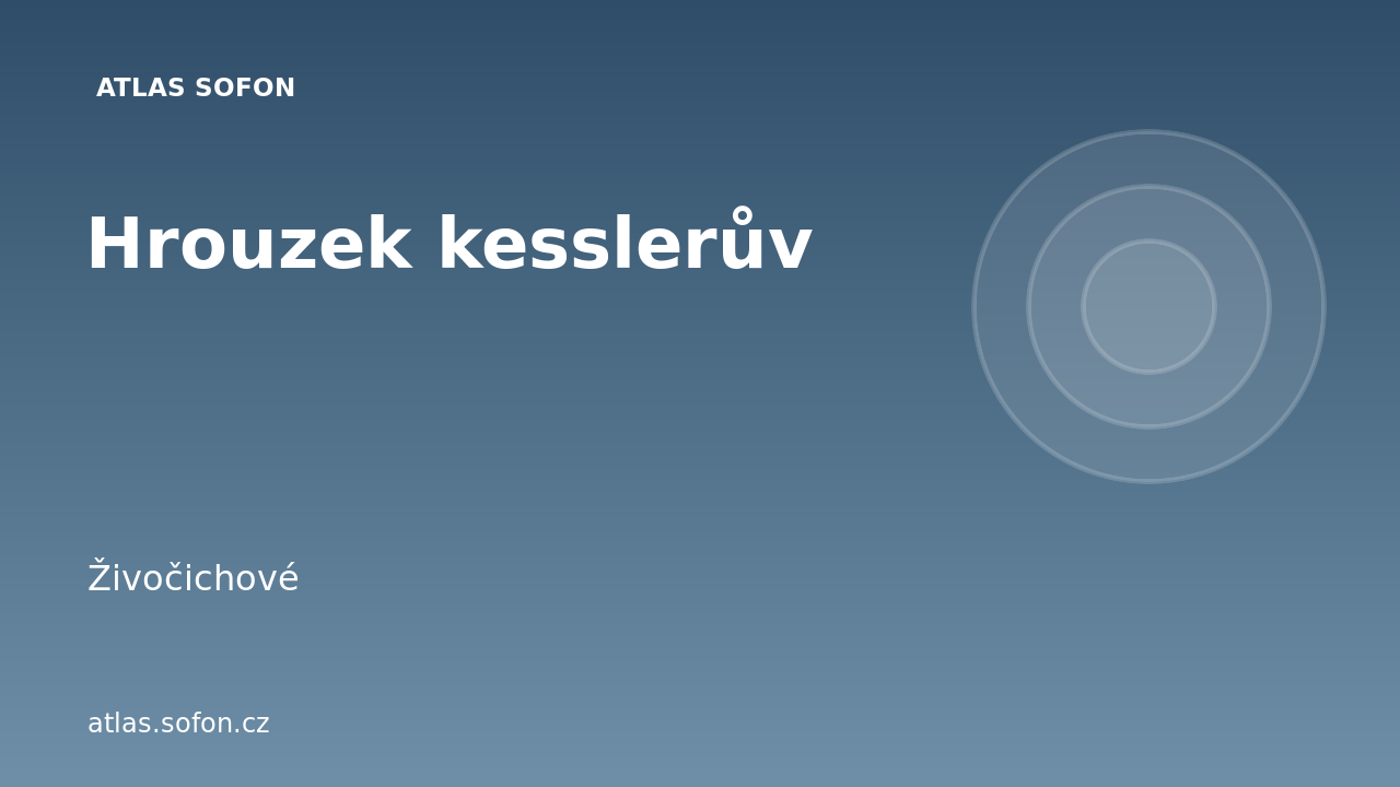 Hrouzek kesslerův