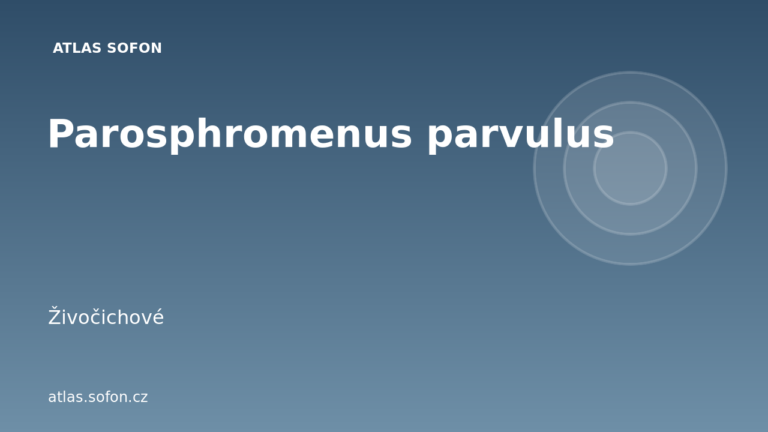Parosphromenus parvulus