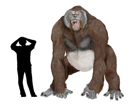 Gigantopithecus