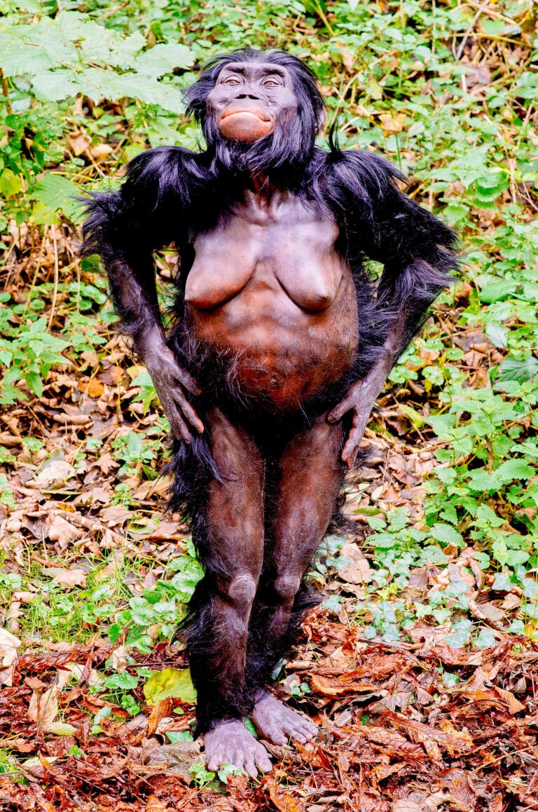 Australopithecus