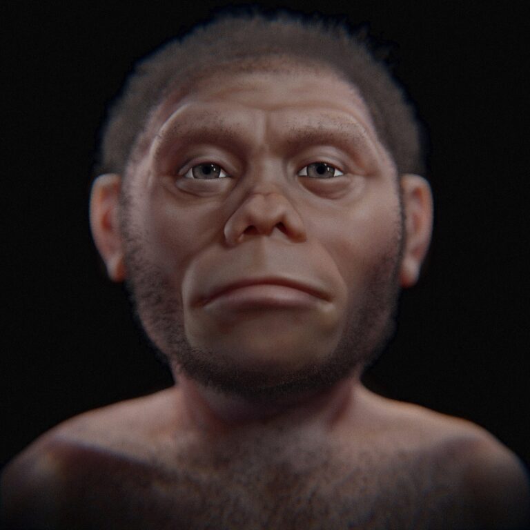 Člověk floreský (Homo floresiensis)
