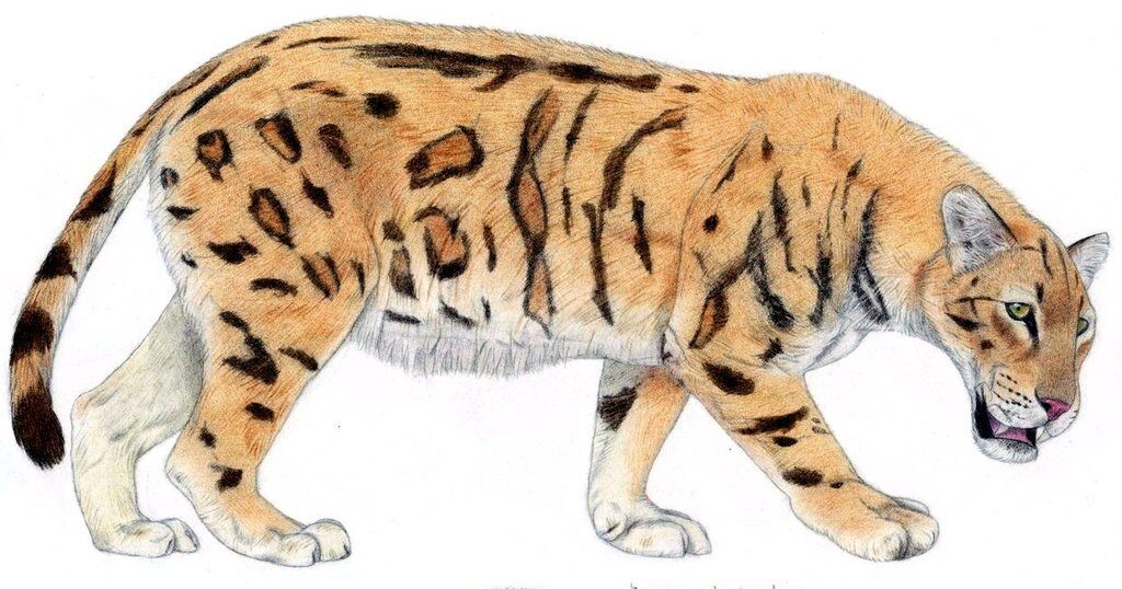 Panthera palaeosinensis