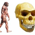 evoluce_03