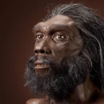 Homo heidelbergensis
