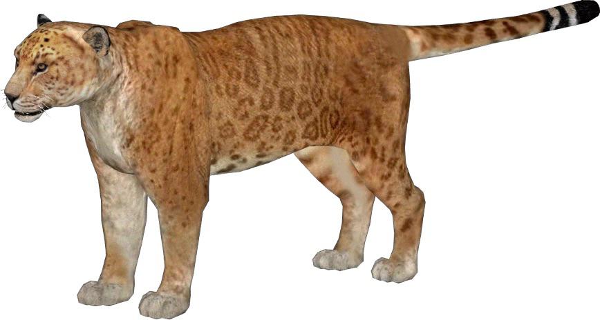 Panthera gombaszoegensis