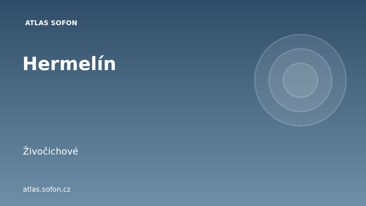 Hermelín